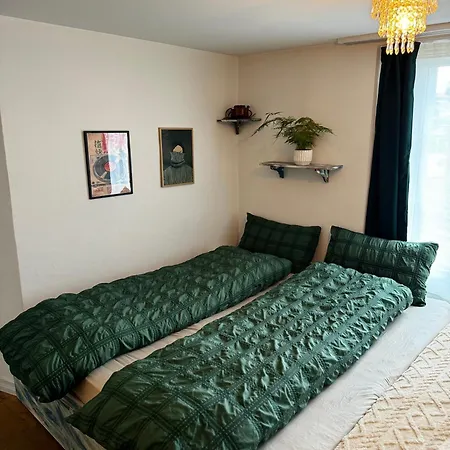 Cozy Nest Apartman Interlaken
